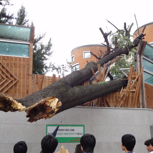[DSC-WX1] 007.jpg